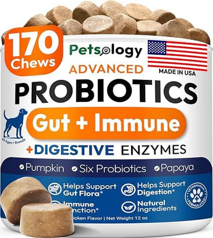 Probiotics for Dogs - 170 Dog Probiotics Chews - Digestive Enzymes Support