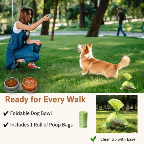 2-in-1 Collapsible Dog Travel Bowl Portable Silicone Carabiner