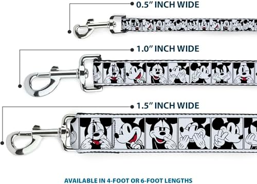 Disney Dog Leash