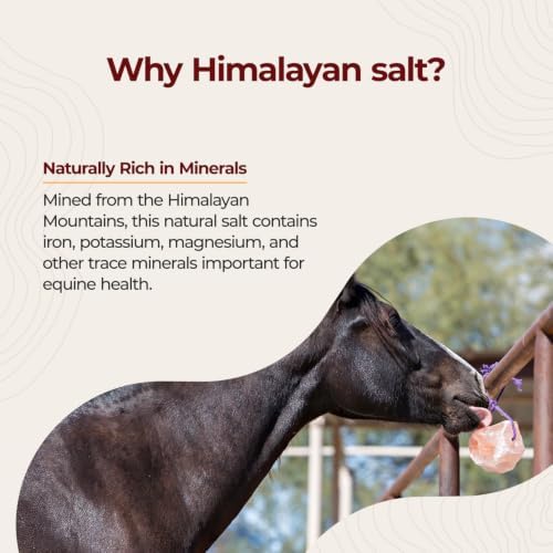 Horsemen's Pride Himalayan Salt Block on Rope for Horses, 2.2 Pounds, SS22