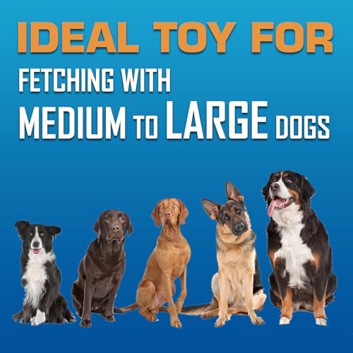 Nerf Dog Atomic Flyer Outdoor Dog Toy, 10 Inch Flying Disc Dog Fetch Toy, Rubber Dog Toy for Medium Dogs and Large Dogs, Green (Pack of 2)