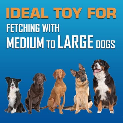 Nerf Dog Tire Flyer Dog Toy Gift Set, Flying Disc_Dog Fetch Toys, Rubber_Dog Toy for Medium_Dogs and Large Dogs, Red, Translucent Green and Translucent Blue, 10 Inch (Pack of 12)