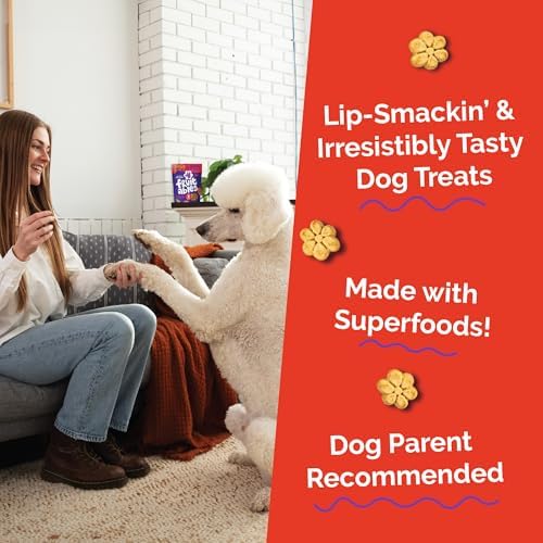 Fruitables Baked Dog Treats, Low Calorie Treats, Apple & Bacon Flavor, 20oz