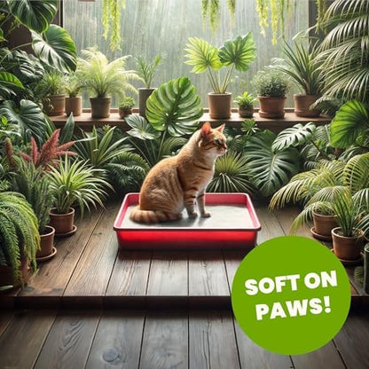 Almo Nature Soft Texture Cat Litter 10 lbs - Plant-Based, Clumping, Biodegradable, Non-Toxic, Compostable, Eco-Friendly, Odor Control, Low Dust, Safe for Cats & Kittens