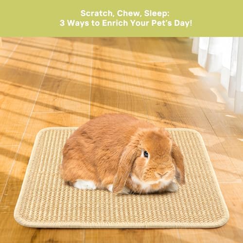 3-Pack Rabbit Scratching Pads – Natural Sisal Bunny Scratch Mat for Claw & Teeth Care, Small Animal Enrichment Toys, Chew-Resistant Bedding for Cages, Play Areas (15.7"x11.8")