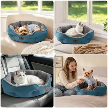 Asvin Small Dog Bed for Small Dogs, Cat Beds for Indoor Cats, Pet Bed for Puppy and Kitty, Extra Soft & Machine Washable with Anti-Slip & Water-Resistant Oxford Bottom, Teal, 20 inches