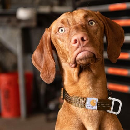 Carhartt Dog Collar Coral Glow L