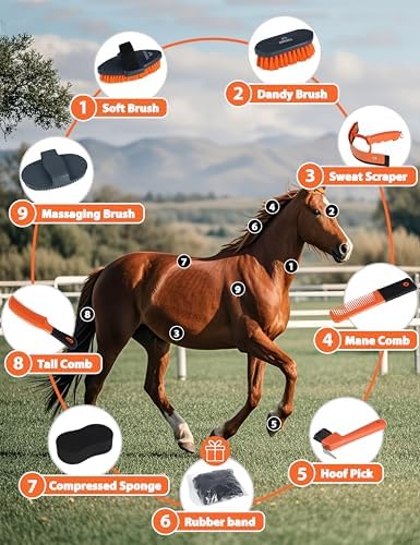 Shinewell Horse Grooming Kit, Complete Horse Brush Set, Equine Grooming Tools for Shedding & Daily Care Orange