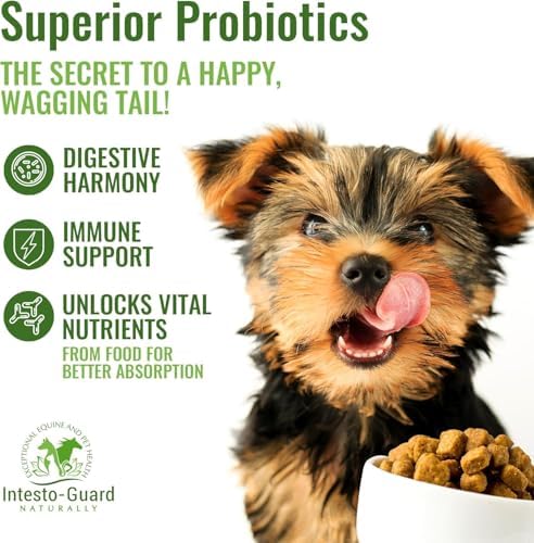 Probiotics Paste for Dogs Prebiotic for Canine, Gut Support, & Immune Boost, All Natural with 1 Billion per ML Includes (MOS)+ Beta Glucans + D-Mannose, No Animal by-Products - 30ML Single Tube