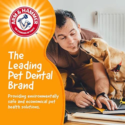 Arm & Hammer Chew Tools Compressed Wood Wrench Dog Chew Toy, 8 in