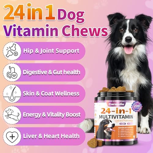 Carmelie Dog Vitamins, 24 in 1 Dog Multivitamins is Human Grade, 200 Chews