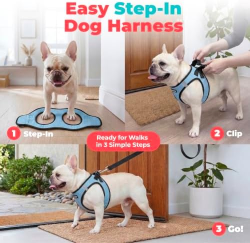 Voyager Step-in Air Dog Vest Harness - Baby Blue/Black Trim, Large