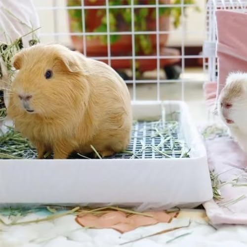PODOO Rabbit Litter Box – Training Potty Tray for Guinea Pig & Small Pets · Spacious Grid Pan with Low Entrance, Easy-Clean & Odor-Resistant—Helps Keep a Clean Cage and Reduce Mess