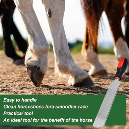 12 Inch Hoof Rasp, Carbon Steel Farrier File with Handle