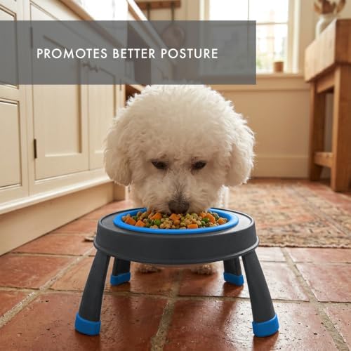 Dexas Pets Single Elevated Pet Feeder/Pet Bowl, I.5 Cup Capacity, Pro Blue, Small
