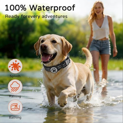 Waterproof AirTag Dog Collar with QR Code Dog Tag, Black02 L