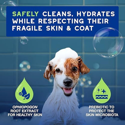 DOUXO SPA Puppy Shampoo, 16 fl oz
