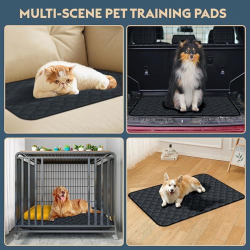 FunFurry Washable Pee Pads for Dogs - 2 Pack Reusable Pee Pads，Waterproof Puppy Pads，Pet Training Pads，Super Absorbent with Dog Paw Shape Non-Slip Backing (Dark Grey, 24" X 36" - 2 Pack)