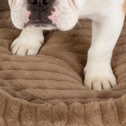 Orthopedic Dog Bed, Hip & Joint Support Dog Crate Pad for Puppy