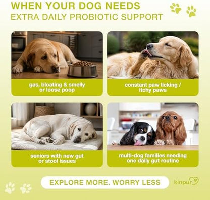 Probiotics for Dogs with Digestive Enzymes & Prebiotics - Sensitive Stomach