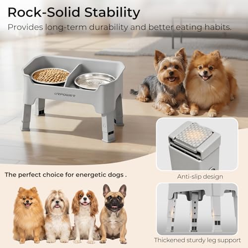 URPOWER Mess Proof Elevated Dog Bowls for Small Dogs with Splash Guard