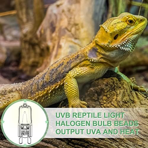 Tarpop 12 Pcs G9 Heat Lamp Bulbs for Reptile, 25 Watts