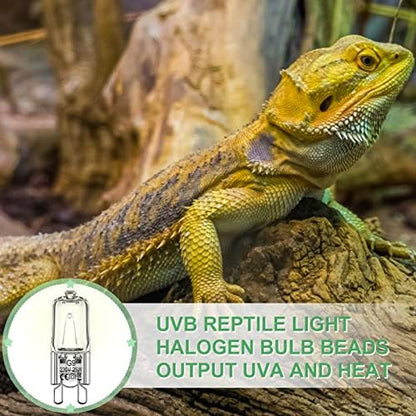 Tarpop 12 Pcs G9 Heat Lamp Bulbs for Reptile, 25 Watts