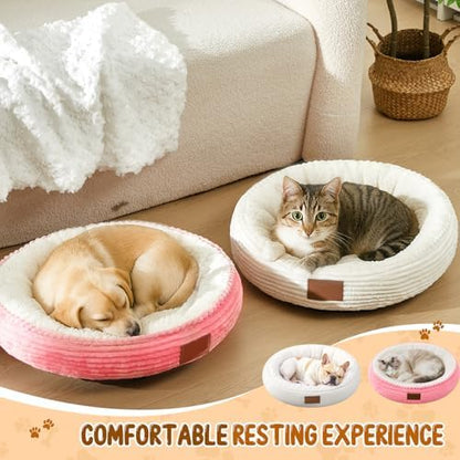 Pink, White 2 Pack Washable Cat Beds for Indoor