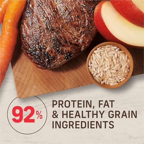 Merrick Healthy Grains Adult Dry Dog Food, Beef and Brown Rice, 33 lb Bag