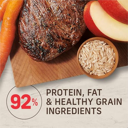 Merrick Healthy Grains Adult Dry Dog Food, Beef and Brown Rice, 33 lb Bag