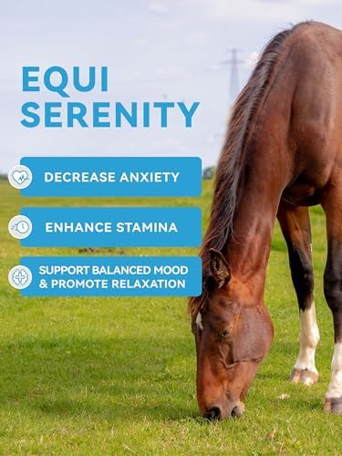 Horse Calming Support Powder – Helps Maintain Relaxed Behavior & Focus | Equine Taurine & Magnesium Blend | 30-Day Supply