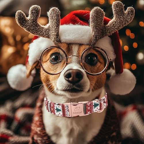 Christmas Dog Collar for Large Dogs - Fair Isle Style Christmas Collars for Dogs, Cute Reindeer Snowflake Winter Heavy-Duty Adjustable Dog Collars with Metal Buckle XL