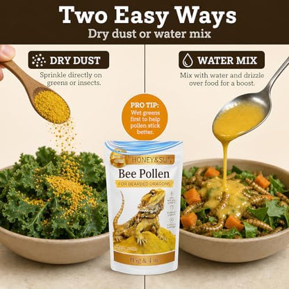 Organic Bee Pollen Powder for Bearded Dragons – HONEY&SUN 4oz Reptile Food