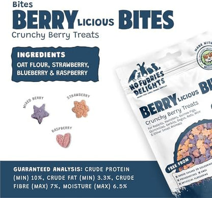 Treats, 100% All Natural Mini Bites For Rabbit Hamster Guinea Pig Chinchilla Pet Rat Mice Gerbil Bird, Healthy Enrichment Bonding Rewarding Training (Berrylicious Variety Pack 50g)