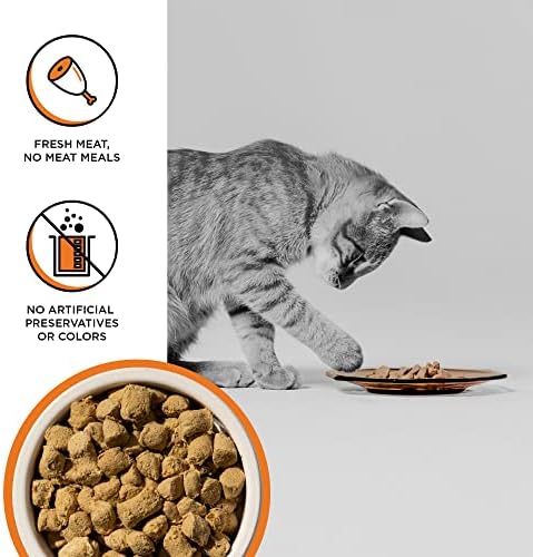 BIXBI Rawbble Freeze Dried Cat Food, Chicken Recipe, 3.5 oz - 95% Organs and Bone Raw Cat Food - USA Made