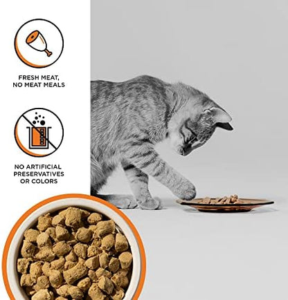 BIXBI Rawbble Freeze Dried Cat Food, Chicken Recipe, 3.5 oz - 95% Organs and Bone Raw Cat Food - USA Made