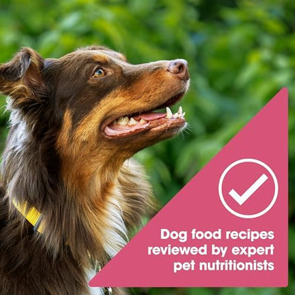Nature's Recipe Grain Free Salmon Dry Dog Food, 34 lb. Bag