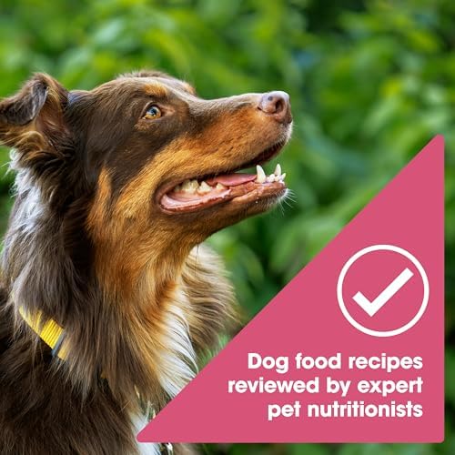 Nature's Recipe Grain Free Salmon Dry Dog Food, 4 lb. Bag