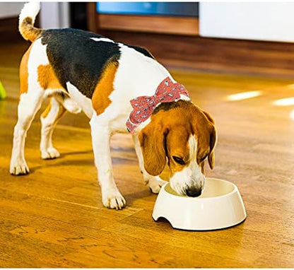 Lionheart Glory Shark Print Bow Tie Collar - Adjustable for Large Dogs, Girl or Boy Pet Gift