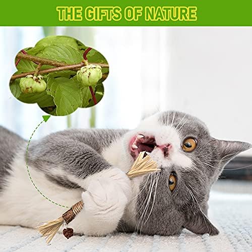 Silvervine Sticks Cat Chew Toys for Indoor Cats Dental Care Teeth Cleaning, Natural Kitten & Cat Teething Toys for Health, Cat Chew Stick Treat Edible Suitable for All Breeds of Aggressive Chewers Cat