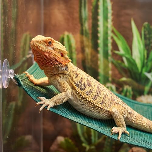 Silkfly Large Beard Dragon Hammock, 28X 9 Inch, Rectangle, Green and Black