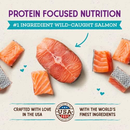 Stella & Chewy's Raw Coated Cat Food - High Protein, Grain-Free Kibble with Wild-Caught Salmon - Premium Digestive Support with Probiotics - Natural Small Kibble - Perfect for Picky Eaters - 5 lb Bag