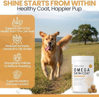 Omega 3 Fish Oil for Dogs, Chicken Flavor - 360 Skin and Coat Soft Chews