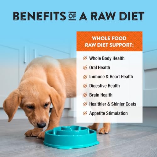 Northwest Naturals Freeze-Dried Chicken & Salmon Dog Food - Bite-Sized Nuggets - Grain-Free, High-Protein, Raw Diet, Human-Grade, Limited Ingredients, All Natural, Omega-3 for Skin & Coat - 12 Oz