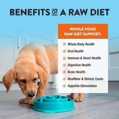 Northwest Naturals Freeze-Dried Chicken & Salmon Dog Food - Bite-Sized Nuggets - Grain-Free, High-Protein, Raw Diet, Human-Grade, Limited Ingredients, All Natural, Omega-3 for Skin & Coat - 12 Oz
