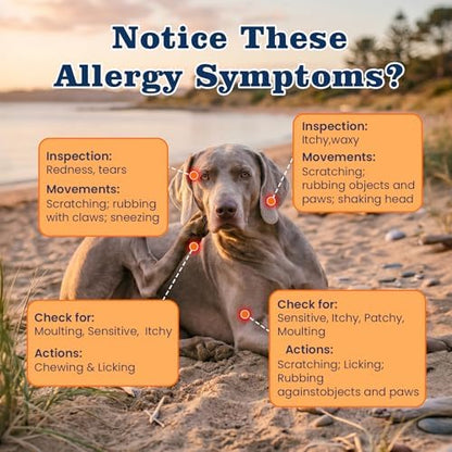 Dog Allergy Chews-120 Crunchy & Creamy Chews, anti-Allergy & Itching Skin Relief Bites Immune Support, with Omega 3 Fish Oil Probiotics for Seasonal All Issues Allergies Made in USA Chicken Flavor