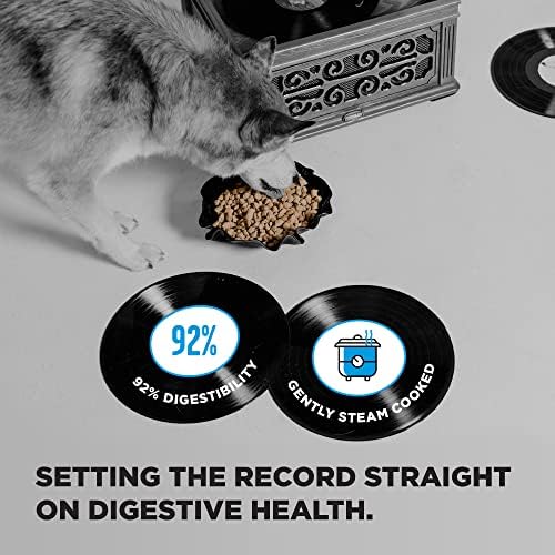 BIXBI Liberty Grain-Free Dry Dog Food, Fisherman’s Catch Recipe – Fresh Fish, High Protein, No Meat Meals – USA Made, 22 lbs