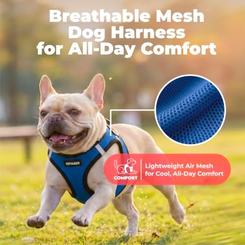 Voyager Step-in Air Dog Vest Harness - Royal Blue/Black Trim, Large