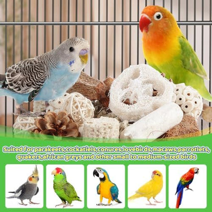 Kyouki Bird Toys Parrot Toys Natural Bird Foraging Box Foot for Parakeets,Cockatiels,Conures,Love Birds,and Other Small to Medium Birds (Medium)