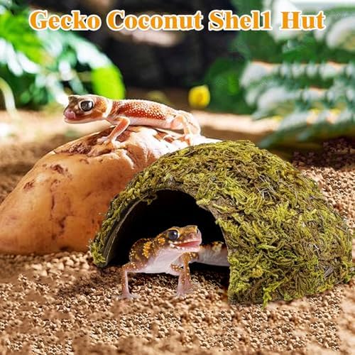 PINVNBY 4 Pack Natural Green Moss Hide Caves Coconut Reptile Hideouts Hamster Climbing Toys Gecko Habitat Decor Lizard Shell Shelter for Snake Tarantulas Turtle Chameleon